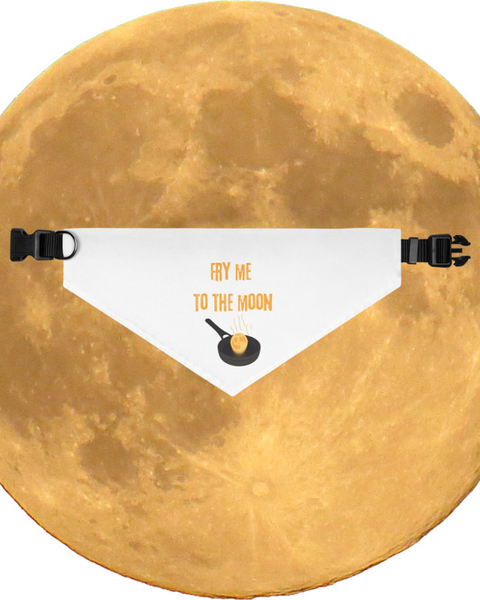 Fry Me To The Moon Pet Bandana Collar